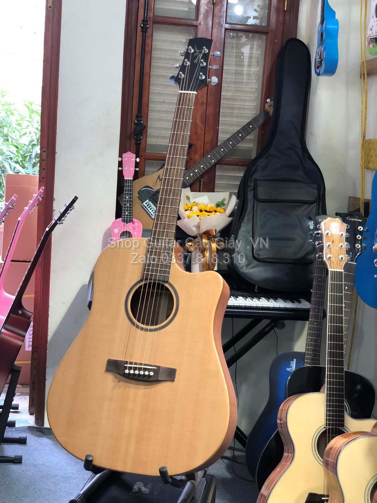 03 01 Thuan Guitar DT 01C wm