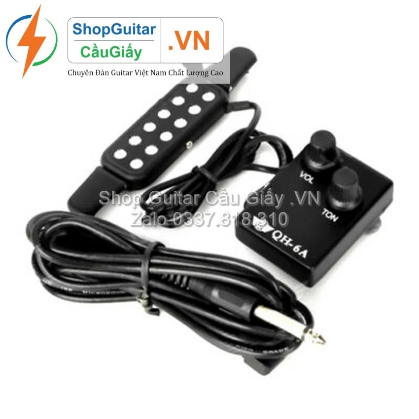 06 Pickup Guitar wm wm