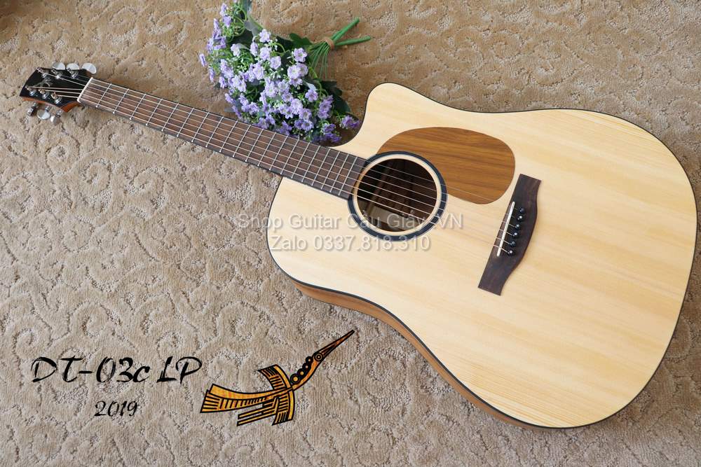 08 01 Thuan Guitar DT 03C LP 2019 wm