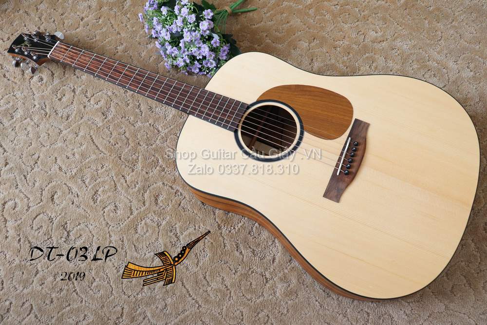 10 01 Thuan Guitar DT 03 LP wm