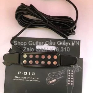 EQ Pickup P-012