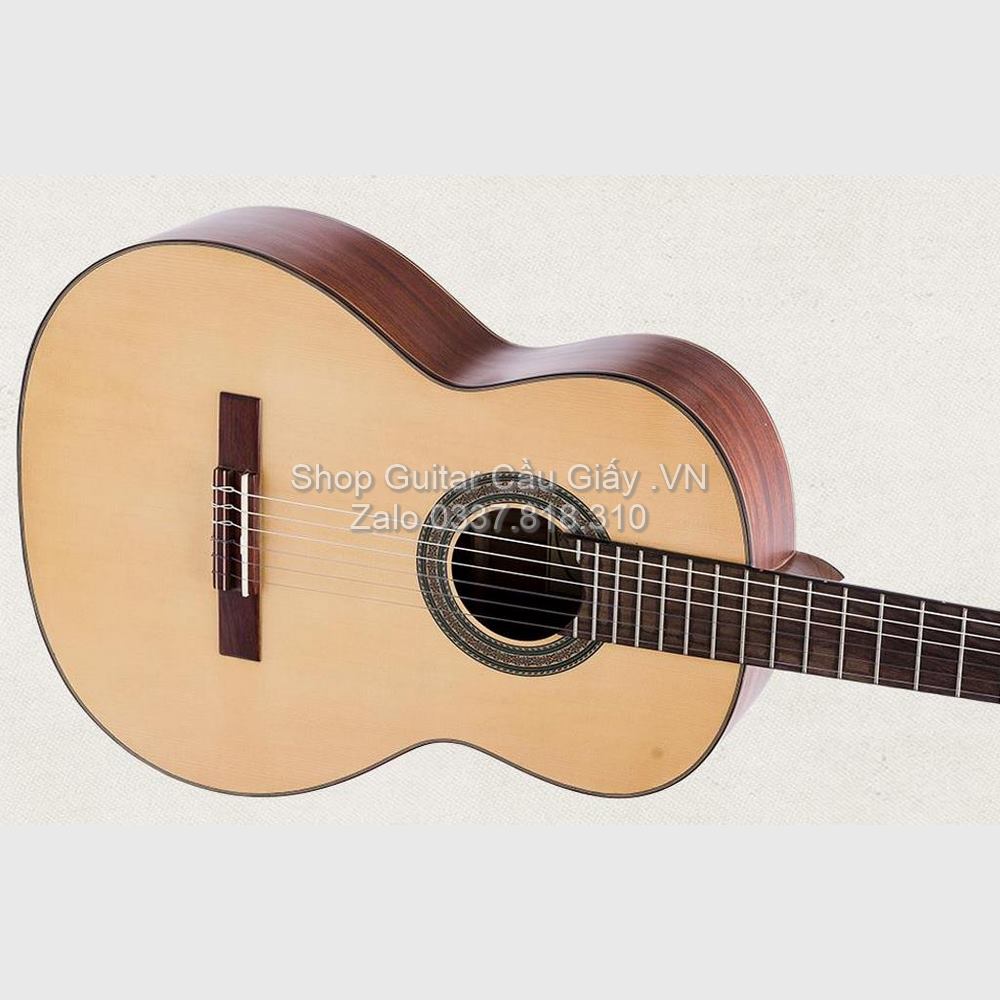 11 Guitar Ba Don C300 Dan Guitar Classic wm