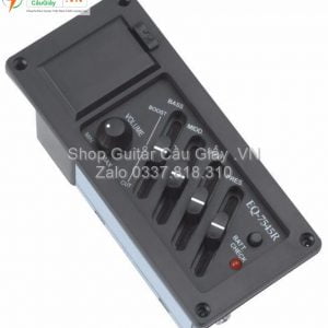 EQ Guitar 7545R