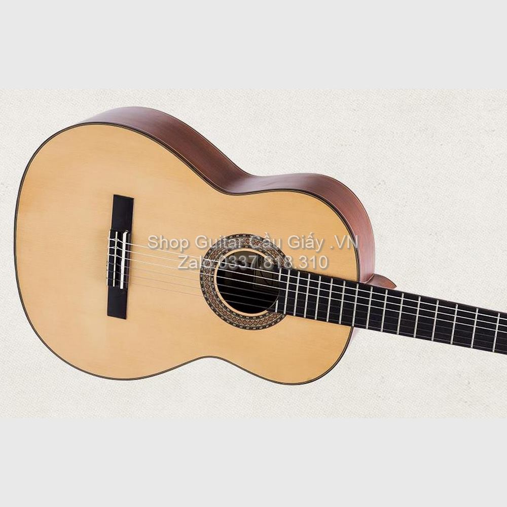 15 Guitar Ba Don C350 Dan Guitar Classic wm