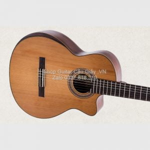 16 Guitar Ba Don C450J Dan Guitar Classic wm