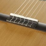 Bộ Lược Ngựa Xương Guitar thumbnail 2