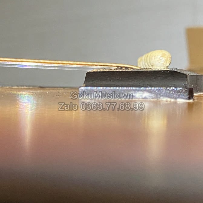 SỬA ĐÀN GUITAR ROSEN BẤM ĐAU TAY 8 Sửa đàn guitar rosen bung ngựa